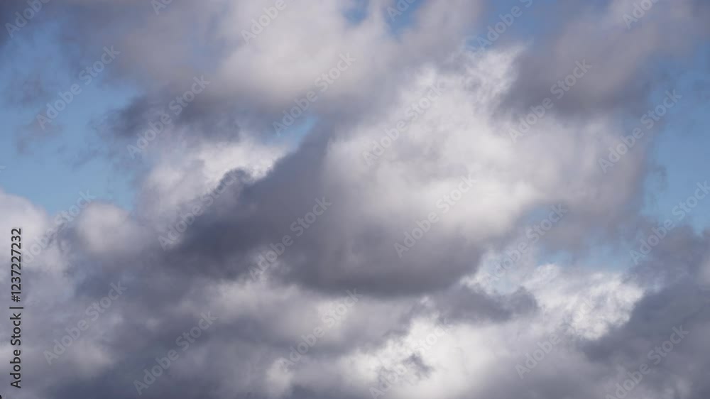 Floating Cumulus Clouds Under a Vibrant Blue Sky Floating Cumulus Clouds Under a Vibrant Blue Sky