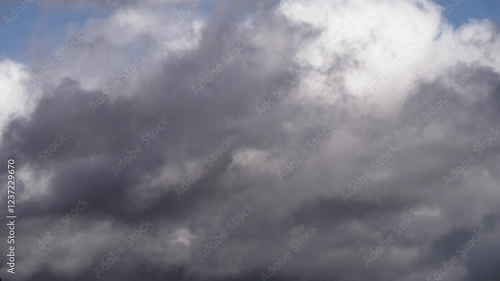 Floating Cumulus Clouds Under a Vibrant Blue Sky Floating Cumulus Clouds Under a Vibrant Blue Sky