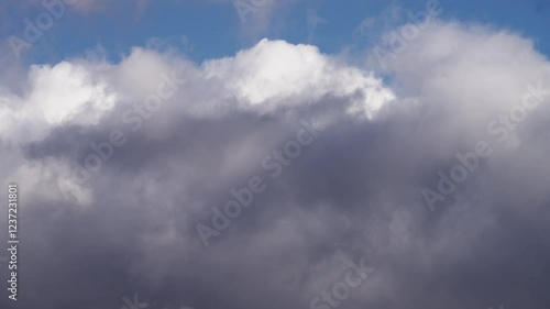 Wallpaper Mural Floating Cumulus Clouds Under a Vibrant Blue Sky Torontodigital.ca