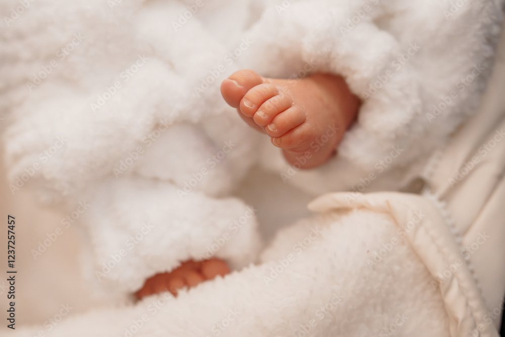 Cozy Infant Feet Snuggled in White Blanket Cozy Infant Feet Snuggled in White Blanket
