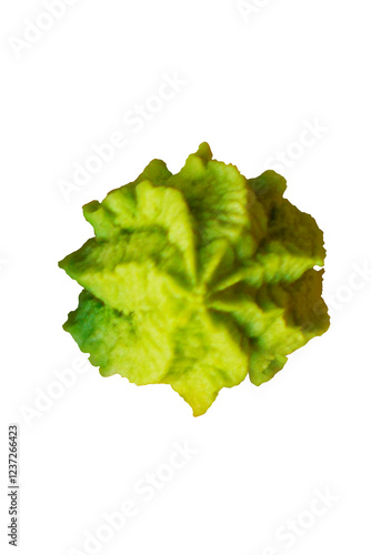 Wasabi Japon Green isolated