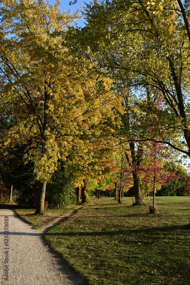 Naklejka premium birds on the lake against the backdrop of autumn,