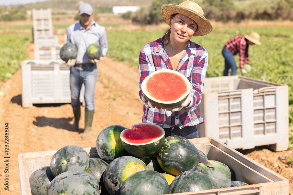 Fototapeta premium Female farmer with half a watermelon in her hands posing in a farmer field