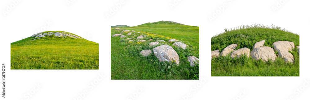Natural Stones on Vibrant Green Grass Isolated on transparent background Natural Stones on Vibrant Green Grass Isolated on transparent background
