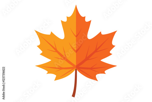 Autumn maple leaf  vectot art illustration