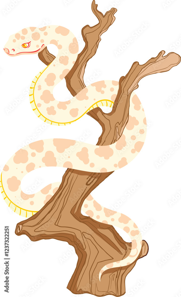 illustration of ball Phyton snake on the tree of plum flowers illustration of ball Phyton snake on the tree of plum flowers