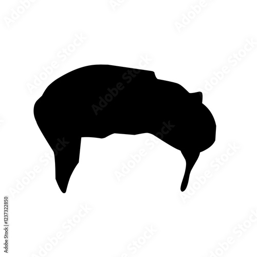 Silhouettes of hair styling