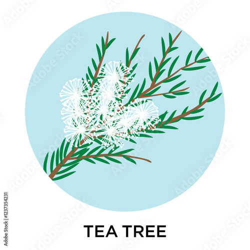 Flat style vector icon of a tea tree plant in a blue circle