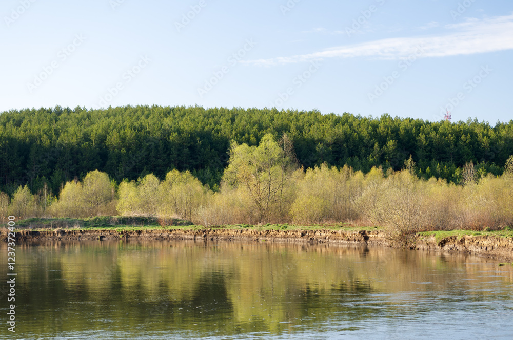 Obraz premium Trees on the lake shore, reflections in the water.