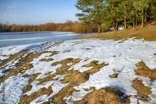 Snow melting under the spring sun photo