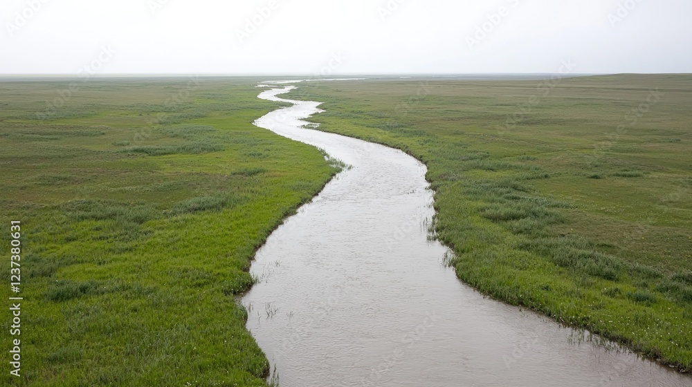Fototapeta premium Winding river through grassy plain, overcast sky. Nature background, travel brochure