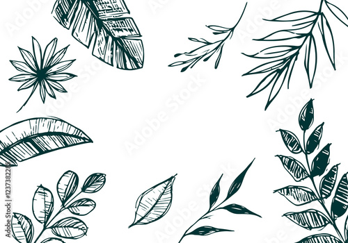 Mixed Decorative Plant hand drawn sketch vector illustration isolated