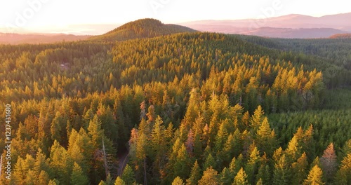 Scenic Aerial Drone Views Of Sunset Over Timber Production Land photo