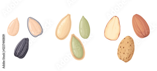 Cartoon seeds. Organic raw sunflower seeds, pumpkin seeds and pine nuts, tasty snacks for vegetarian diet flat vector illustration set. Delicious seeds on white