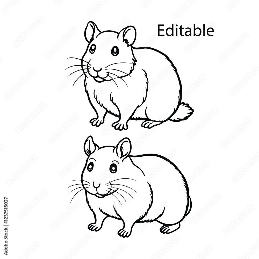 Hamster, hamster vector set, cute hamster, hamster illustration, hamster drawing Hamster, hamster vector set, cute hamster, hamster illustration, hamster drawing