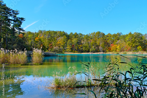 裏磐梯　五色沼湖沼群の弁天沼と紅葉　福島県