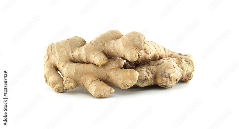 Fresh ginger root Zingiber officinale lying on white background Fresh ginger root Zingiber officinale lying on white background