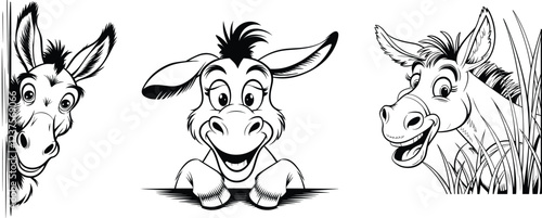 Set of donkey, vector illustration.