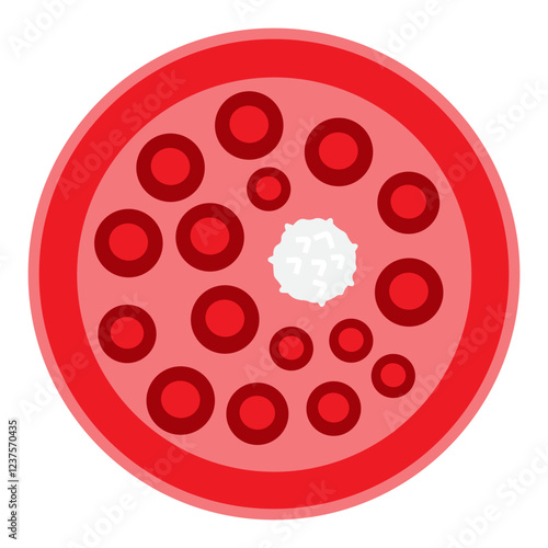 фотографія neutropenia