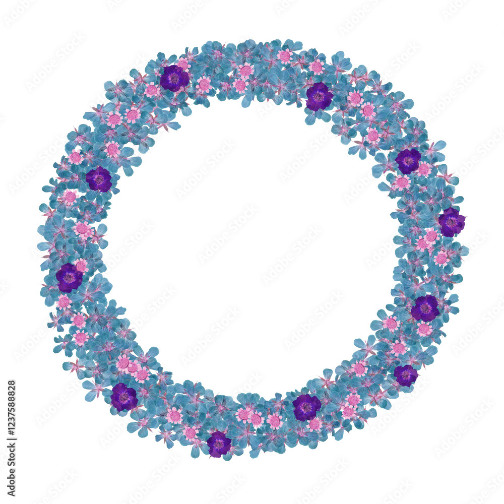 Round frame wreath with cute pressed colorful flowers isolated on transparent background. Round frame wreath with cute pressed colorful flowers isolated on transparent background.