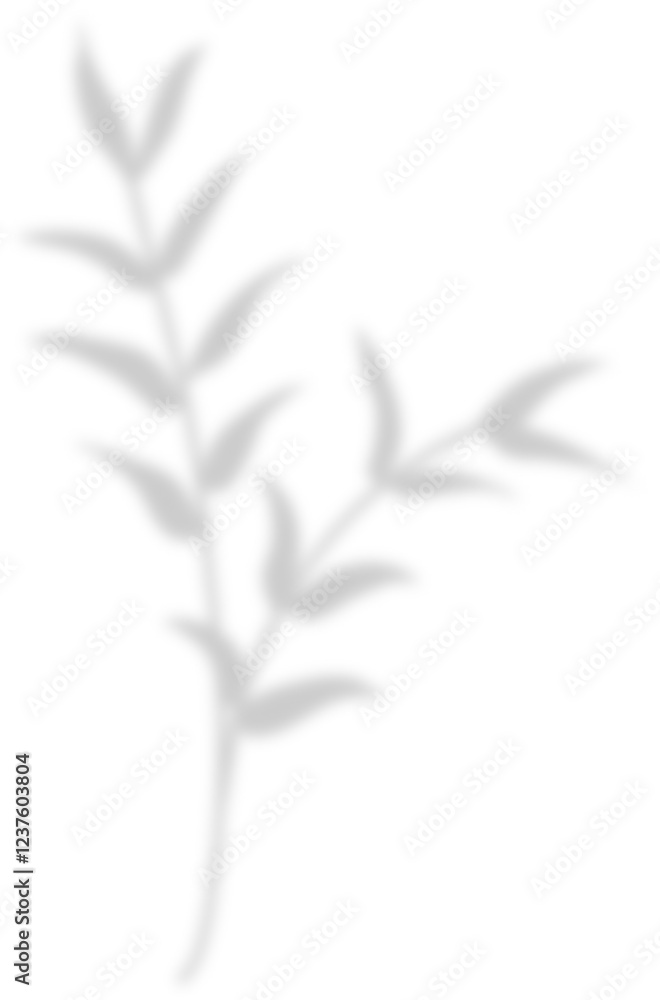 Obraz premium shadow leaf decoration 