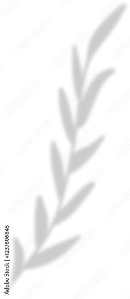 Fototapeta premium shadow leaf decoration 