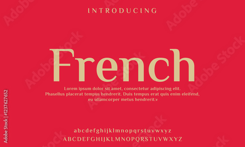 High-Quality Custom Fonts | Stylish, Modern & Classic Typefaces for Designers