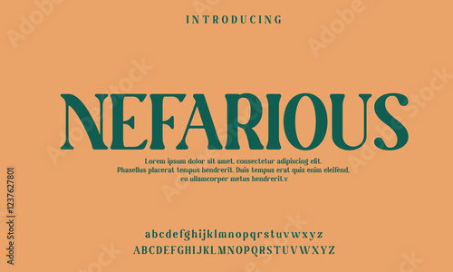 High-Quality Custom Fonts | Stylish, Modern & Classic Typefaces for Designers
