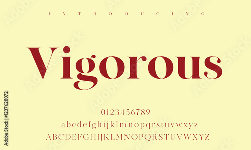 High-Quality Custom Fonts | Stylish, Modern & Classic Typefaces for Designers