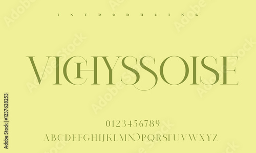 High-Quality Custom Fonts | Stylish, Modern & Classic Typefaces for Designers
