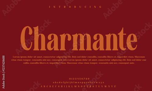 High-Quality Custom Fonts | Stylish, Modern & Classic Typefaces for Designers