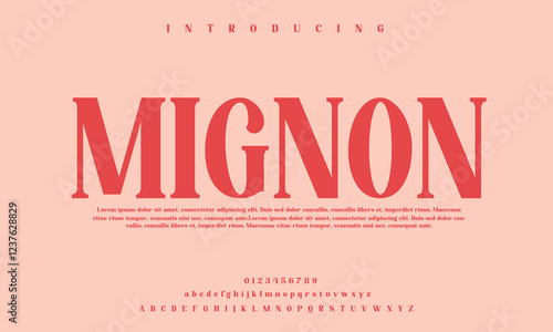 High-Quality Custom Fonts | Stylish, Modern & Classic Typefaces for Designers