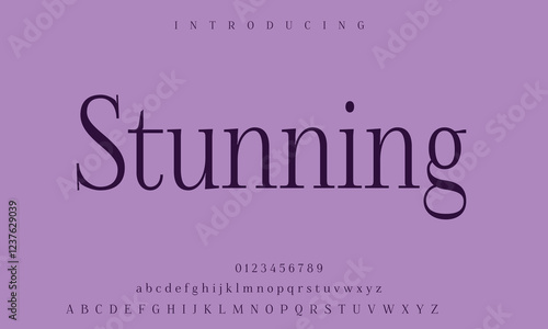High-Quality Custom Fonts | Stylish, Modern & Classic Typefaces for Designers