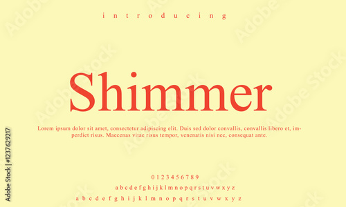 High-Quality Custom Fonts | Stylish, Modern & Classic Typefaces for Designers