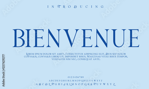 High-Quality Custom Fonts | Stylish, Modern & Classic Typefaces for Designers
