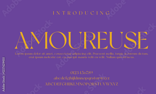 High-Quality Custom Fonts | Stylish, Modern & Classic Typefaces for Designers