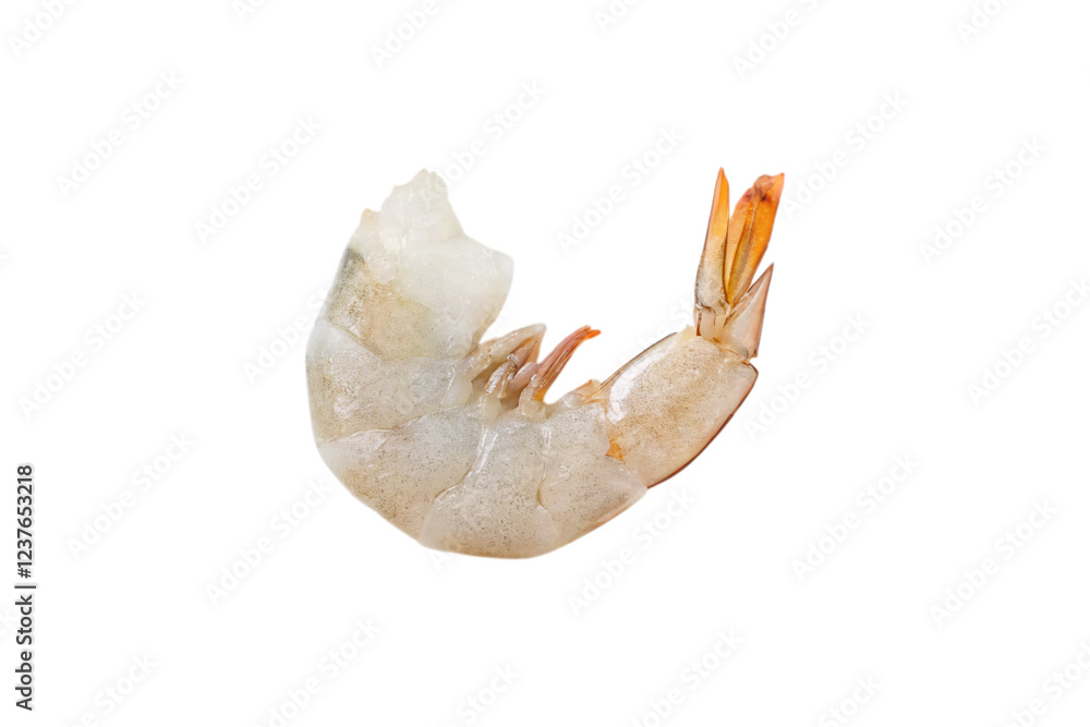 Obraz premium A single raw shrimp with translucent flesh curled naturally, highlighted by hints of orange accents on its tail and legs, isolated on a transparent background
