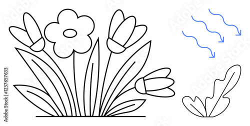 Black outline of a flower cluster with leaves and a single loose petal accompanied by blue flowing arrows indicating movement, growth, and natures cycles. Ideal for concepts thumbs up growth, nature