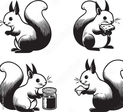 Squirrel vector in black and white