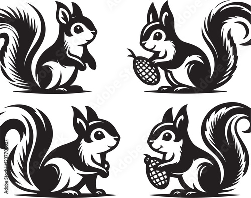 Squirrel vector in black and white