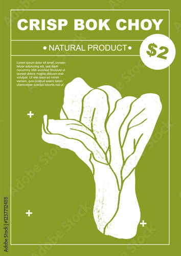 Crisp bok choy. Set of posters of vegetables in a abstract draw design. Label or poster, price tag. Simple, flat design. Patterns and backgrounds. Perfect for poster, cover, banner.