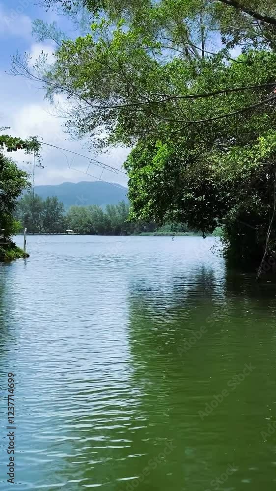 Water landscape with green trees on the banks, moving forward along the river Water landscape with green trees on the banks, moving forward along the river