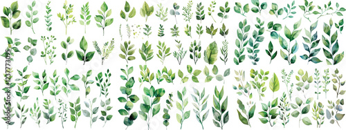 Green leaf branches collection. Watercolor floral set. Leaf branches for greetings, fashion, eucalyptus, olive, cloth, print, invitation, card, wedding, graphic, art, pattern, template, clip art	