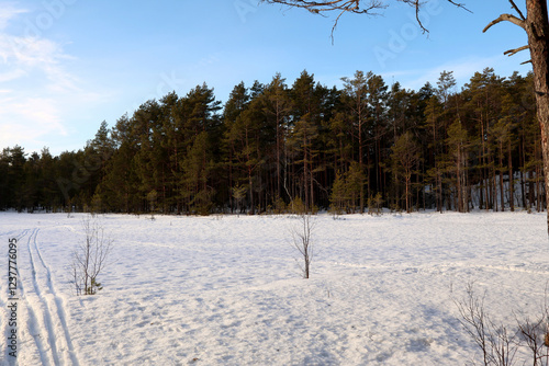 Obraz na płótnie Winter