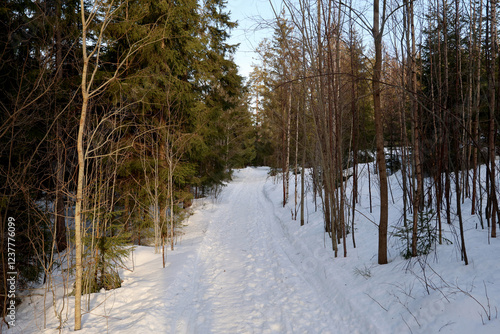 Obraz na płótnie Winter
