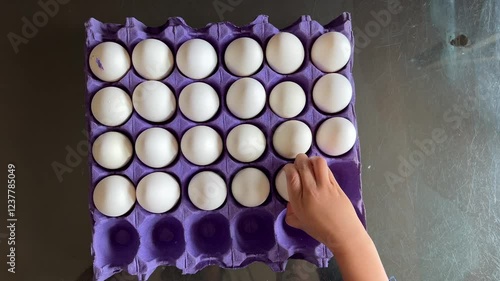 Hand taking egg from egg tray 