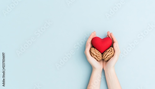 Hands holding a red heart and walnuts against a light blue background, symbolizing love and health