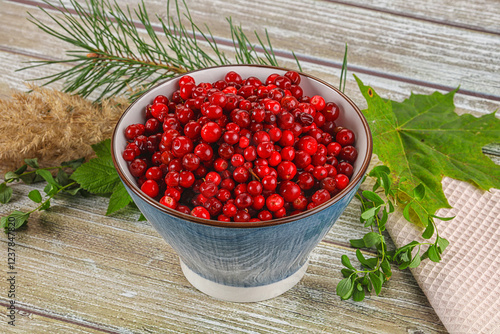 Natural organic wild forwst lingonberry photo