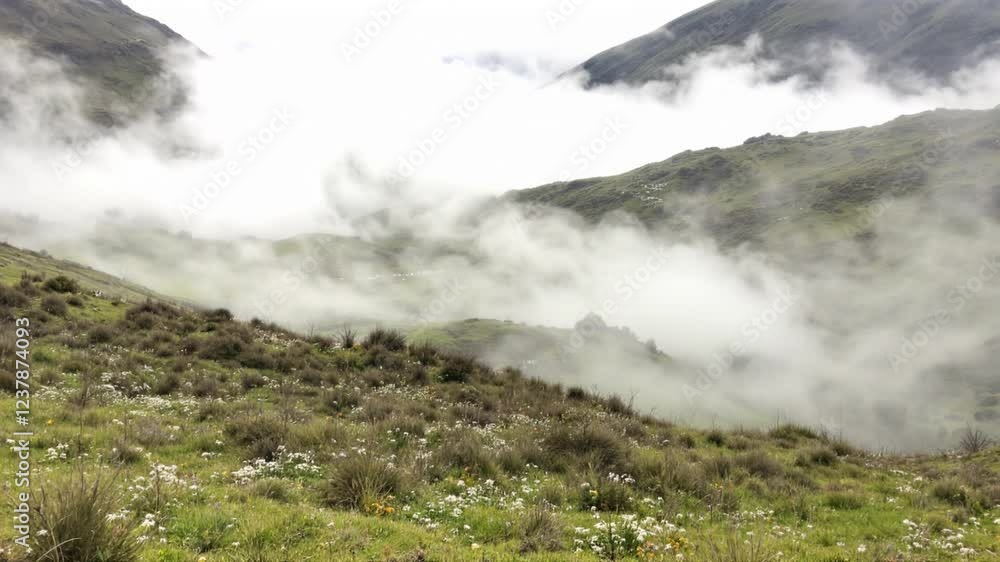 Misty mountain meadow, valley cloudscape, scenic travel poster