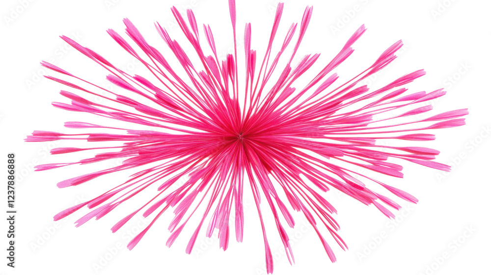 Obraz premium Pink spikes exploding from center on transparent background